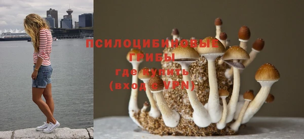 каннабис Гусев